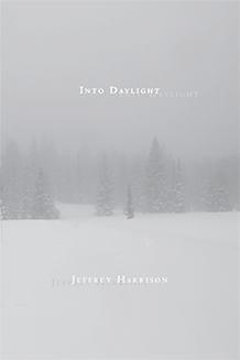 Into Daylight cover